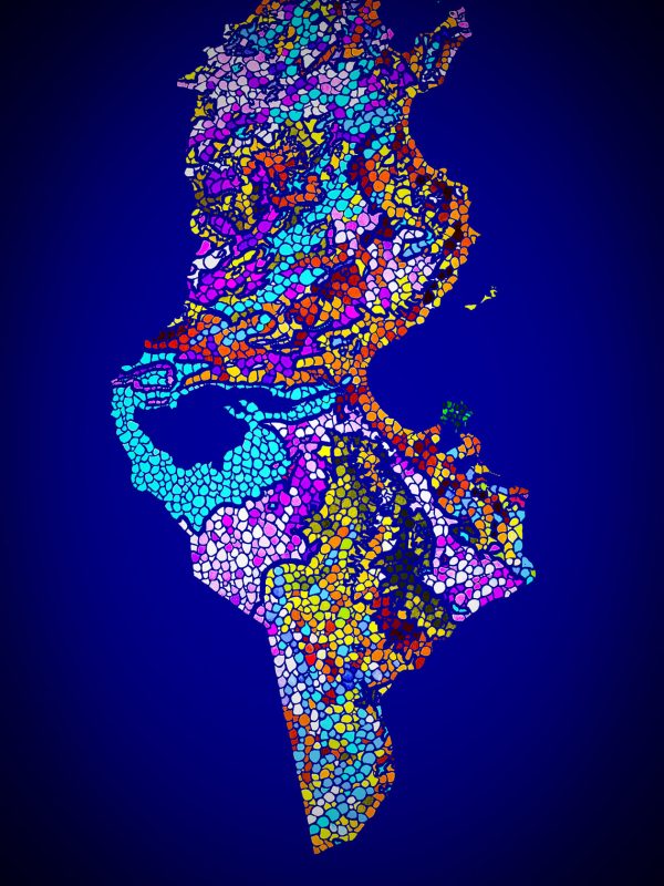 301605397_6184445468238129_7650328370916779241_n