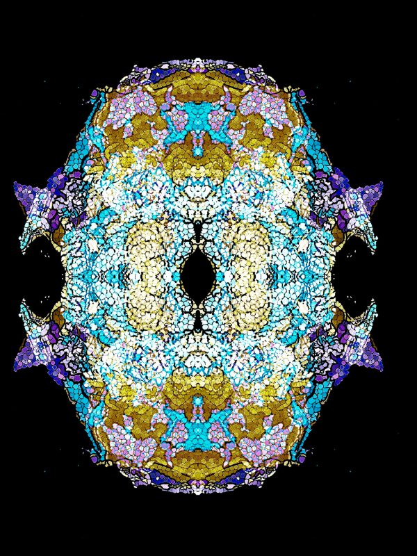 316676256_6431315330217807_1019672913303980931_n