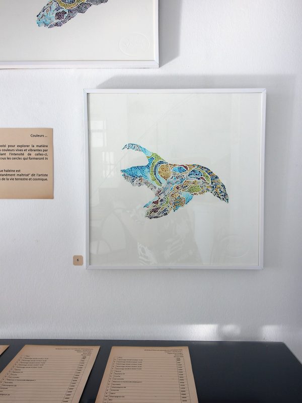 35671501_2253183941364321_4407420028119416832_n