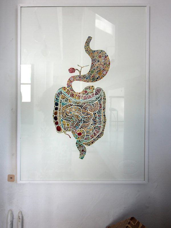 35728669_2253184314697617_9212236728549507072_n